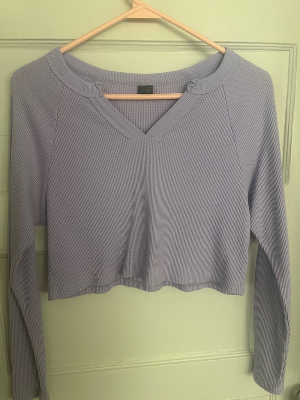 wild fable Lavender Cropped Ribbed V-Neck Long Sleeve Top